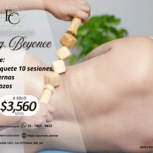 Paq. Beyonce  (10 Sesiones)